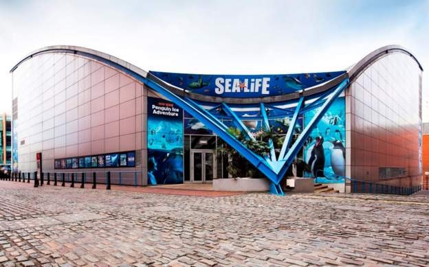 Sea Life Centre to close for multi-million pound revamp ...